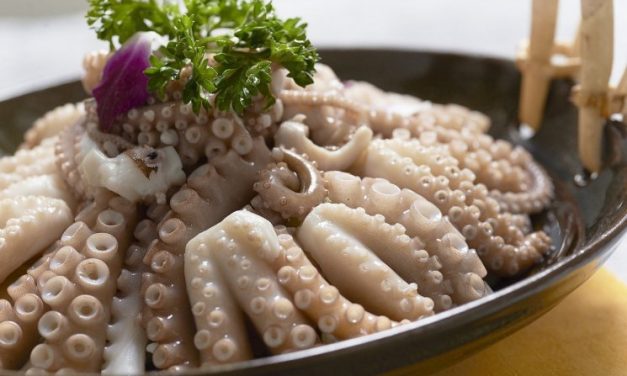 Kuliner Mentah Sanakji Sebuah Gurita Mentah Potong