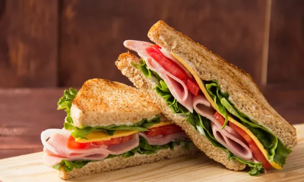 Makanan Praktis Yang Terdiri Dari 2 Lapis Roti