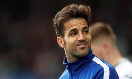 Pemain Bola Fabregas Pesepakbola Profesional