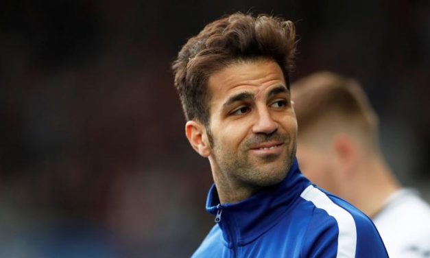 Pemain Bola Fabregas Pesepakbola Profesional