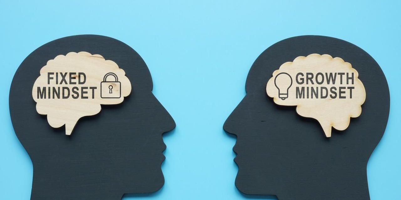 Pola Pikir Atau Mindset Seseorang Dalam Hidupnya