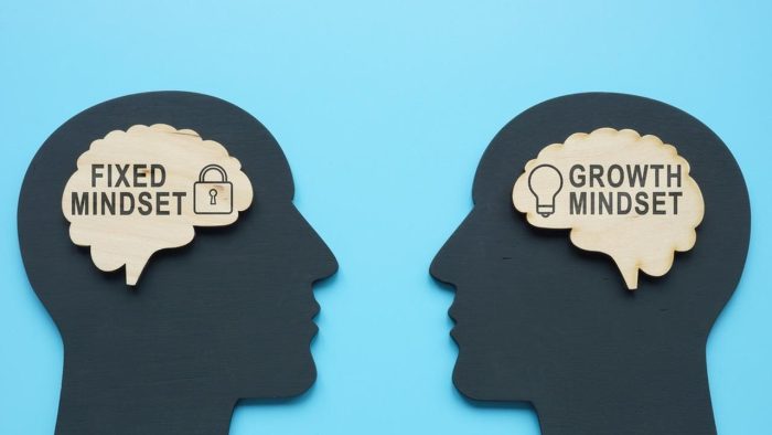 Pola Pikir Atau Mindset Seseorang Dalam Hidupnya