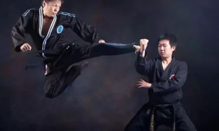 Bermain Hapkido Olahraga Dari Negara Korea