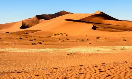 Wilayah Luas Gurun Yang Jarang Sekali Hujan Turun