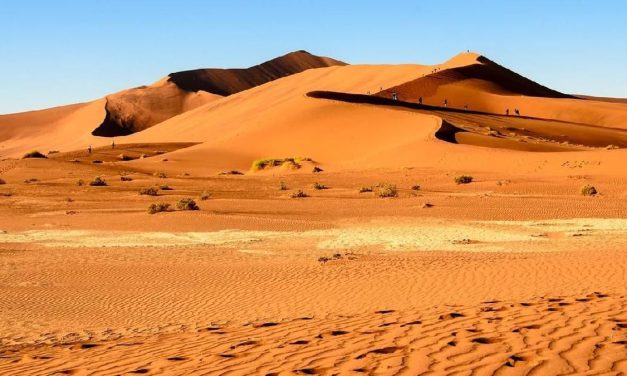 Wilayah Luas Gurun Yang Jarang Sekali Hujan Turun