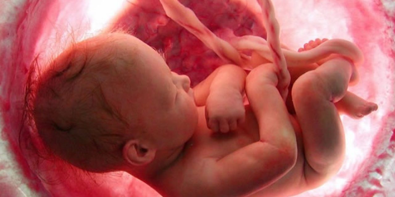Mengandung Bayi Dalam Perut Atau Sedang Hamil
