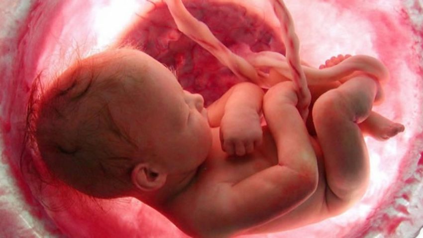 Mengandung Bayi Dalam Perut Atau Sedang Hamil