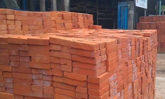 Bahan Batu Bata Khusus Untuk Bangunan