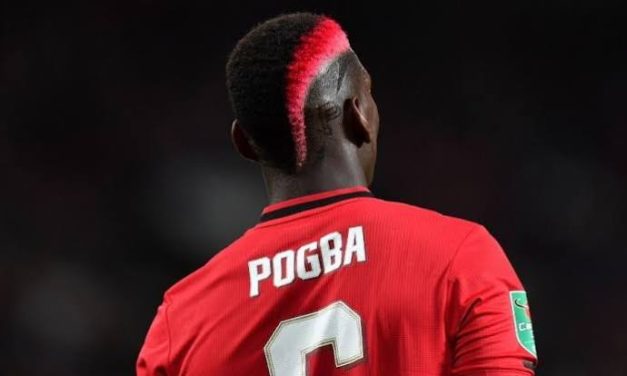 Pemain Bola Pogba Yang Profesional Di Lapangan