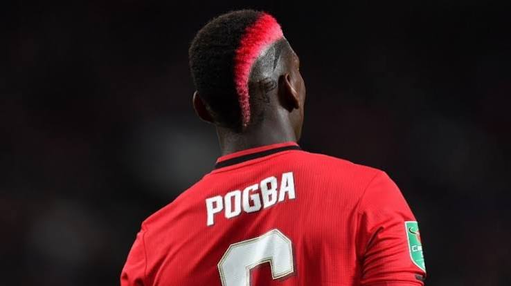 Pemain Bola Pogba Yang Profesional Di Lapangan