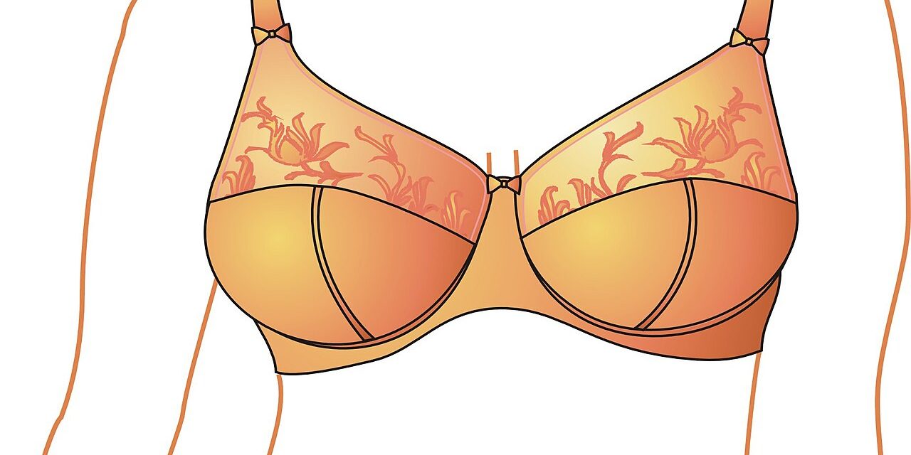 Pakaian Dalam Bra Perempuan Yang Berbagai Jenis