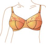 Pakaian Dalam Bra Perempuan Yang Berbagai Jenis