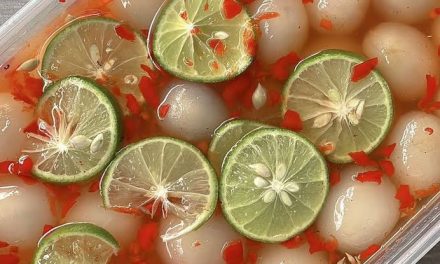 Camilan Makanan Manisan Dengan Mengawetkan Buah