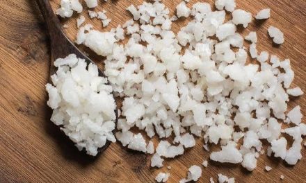 Bahan Masakan Garam Sebagai Pelengkap Rasa