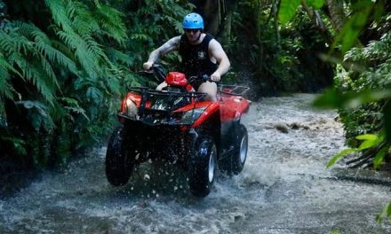 Kendaraan Kecil ATV Dengan Roda Offroadnya