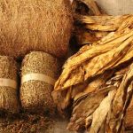 Produk Gulungan Tembakau Kering Atau Rokok