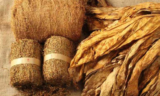 Produk Gulungan Tembakau Kering Atau Rokok